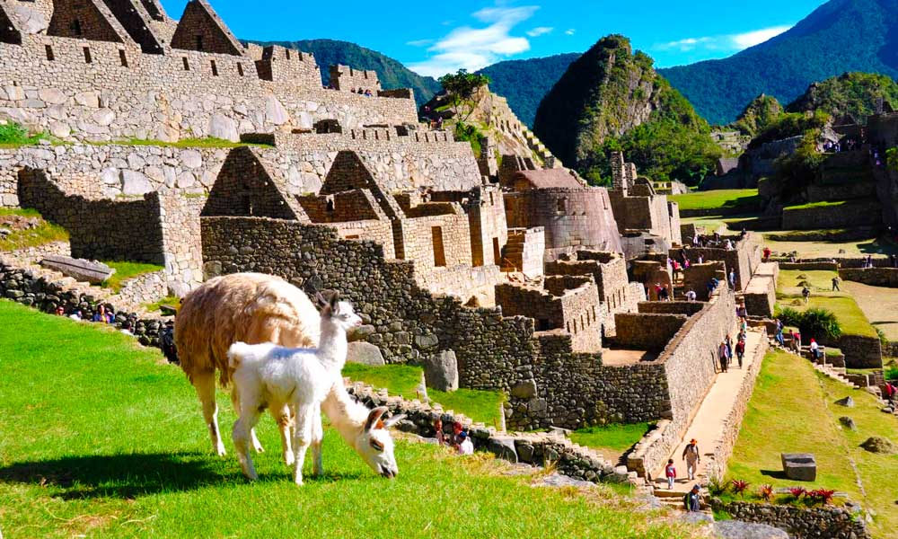 Imagen 3 Llaqta Machupicchu